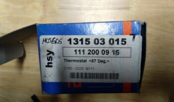 Thermostat for Mercedes W202 C180/C200/C220 full